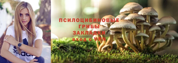 тгк Горно-Алтайск