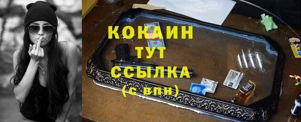 тгк Горно-Алтайск